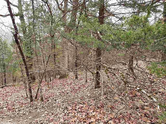 2nd image of Coweta Dr