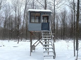 Snowball Hollow Rd, Scio, NY 14880