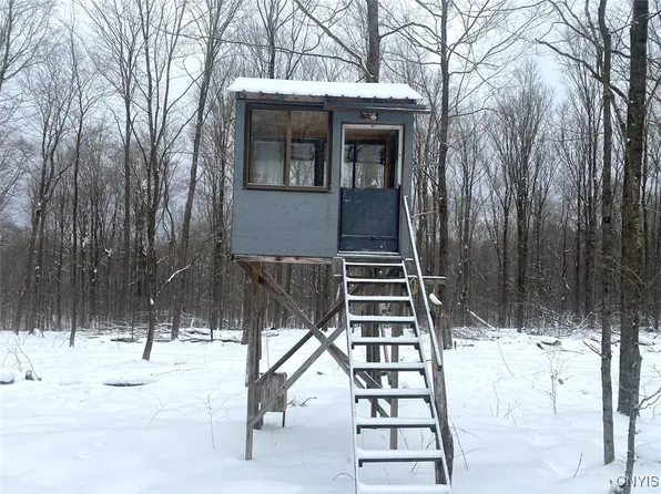 Snowball Hollow Rd, Scio, NY 14880
