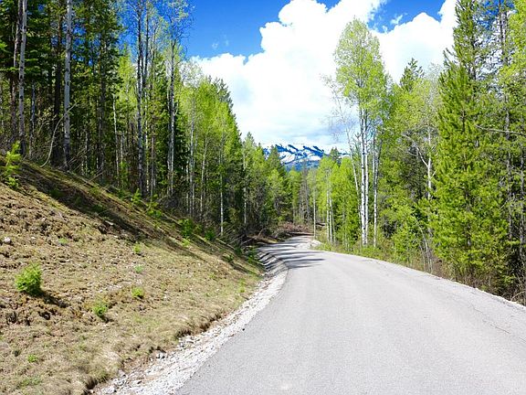 5th image of Black Bear Ln
