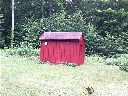 Shed in back yard