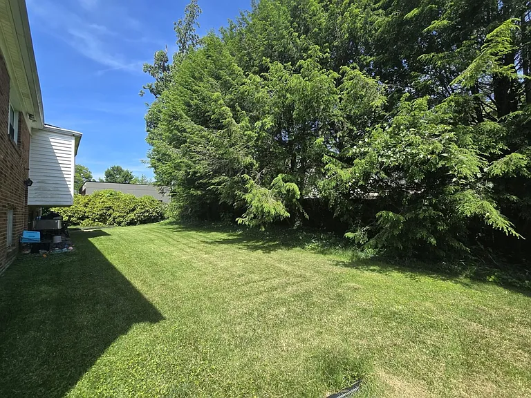 6403 Orchid Dr — Photo 13