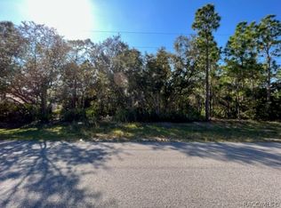 4106 N Saddletree Dr, Beverly Hills, FL 34465
