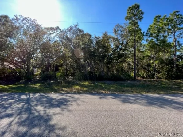 4106 N Saddletree Dr, Beverly Hills, FL 34465