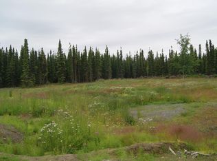 51445 Dog Fish Ave, Kenai, AK 99611