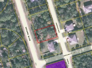 44 Sederholm Path, Palm Coast, FL 32164