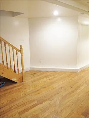 Rented by Mark David | media 51