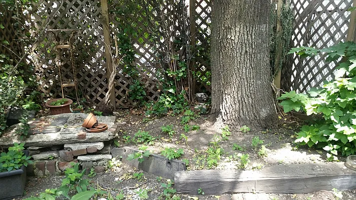 Rented by Brick Real Estate | media 57