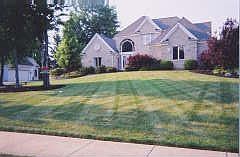 1st image of 981 Chinaberry Cir S