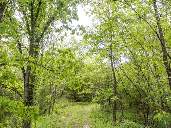 000 W State Highway Bb, Willard, MO 65781