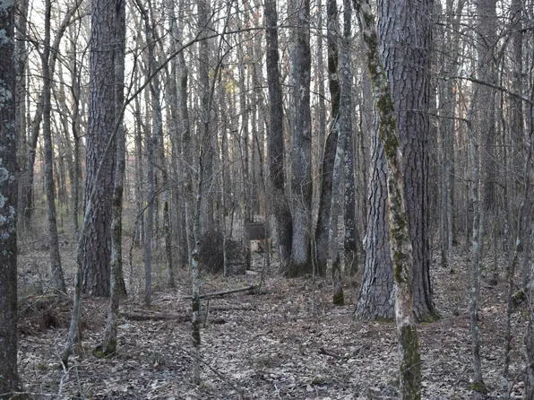 (undisclosed Address), Pine Bluff, AR 71603