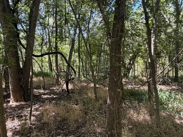 677 Kaukonahua Ln, Bastrop, TX 78602