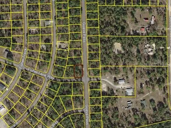 LOT 14 Fisher Lane Way Lot 14, Ocklawaha, FL 32179