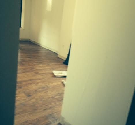 2nd image of 5429 Lansdowne Ave #1