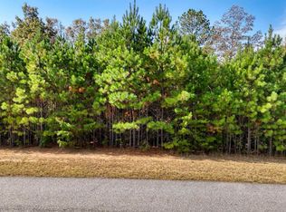 42 Water Oak Ln, Blairsville, GA 30512