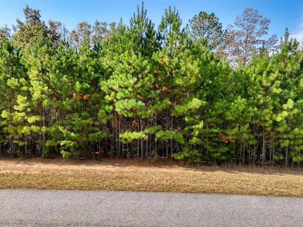 42 Water Oak Ln, Blairsville, GA 30512
