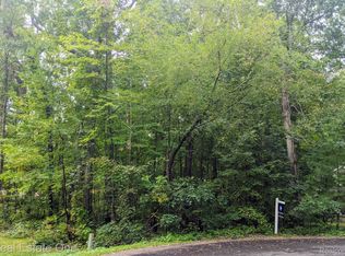 14 Cavan Ct, Onsted, MI 49265