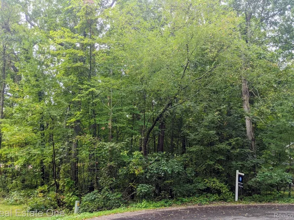 14 Cavan Ct, Onsted, MI 49265