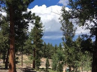 394 Bellows Rd #657, Hartsel, CO 80449