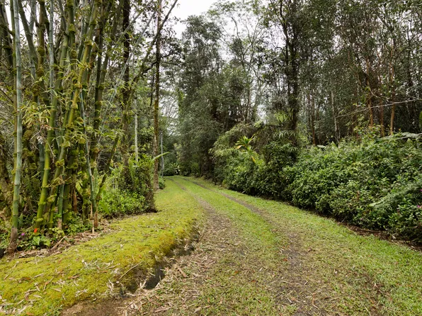 16-1520 Road 11, Kurtistown, HI 96760