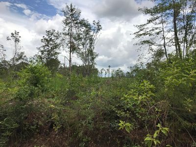 0 Moore Rd, Cottondale, FL, 32431