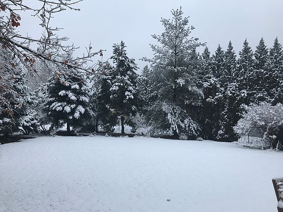 beautiful in winter also
