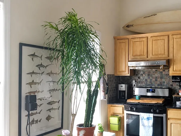 382 2nd St #4 — Photo 7