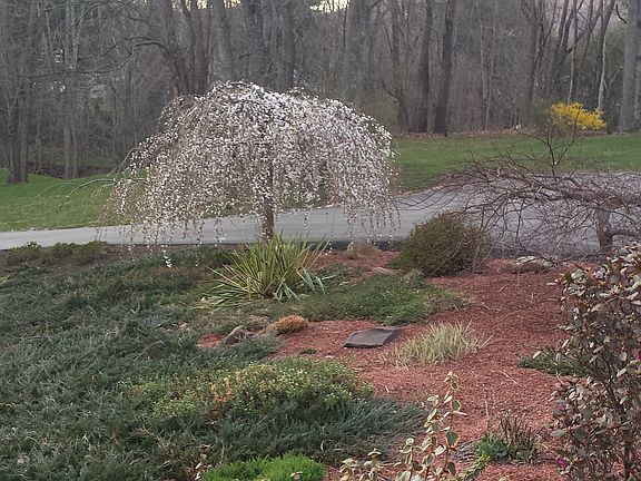 Paved driveway & landscaping