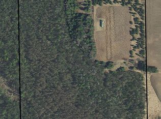 N10299 Begrow Rd, Marion, WI 54950