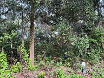 0 Albert Street, Savannah, GA, 31406