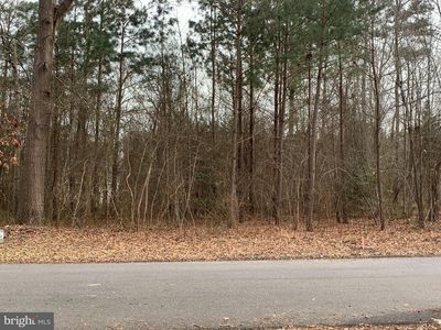 LOT C3 S Mount Laurel Dr, Dagsboro, DE, 19939