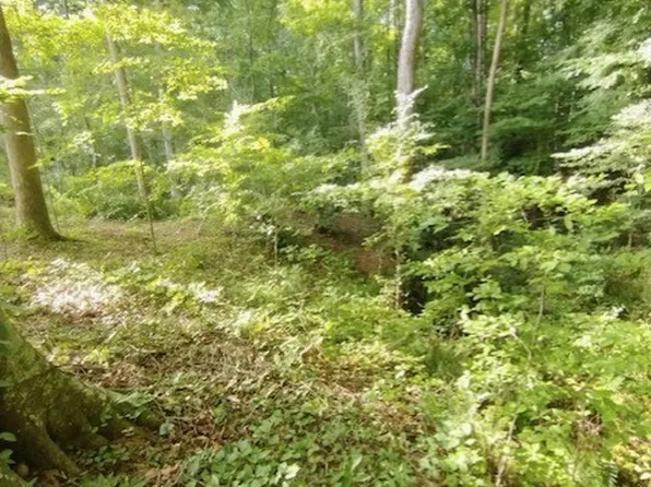 620 Ivy Creek Dr, Nicholson, GA 30565