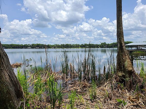 Clear 95 Ac Lake Alice