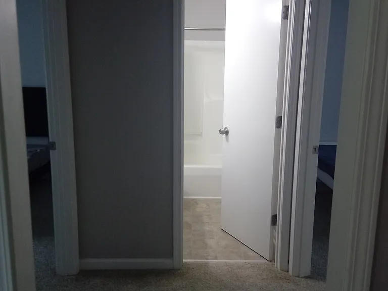 986 May Apple Dr — Photo 22