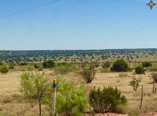 1 Brahma Rd, Newkirk, NM 88417