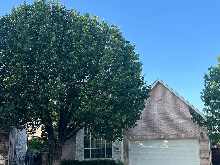 7717 Lakecrest Ct — Photo 1