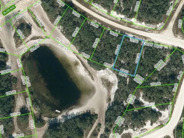 216 Rhythm Dr #5, Lake Placid, FL 33852