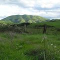 Coastal Marin Real Estate