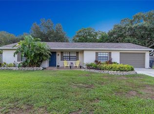 3407 Blowing Oak St, Valrico, FL 33596