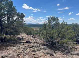 5 County Road 8234, Concho, AZ 85924