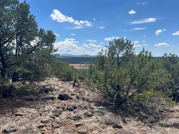 5 County Road 8234, Concho, AZ 85924