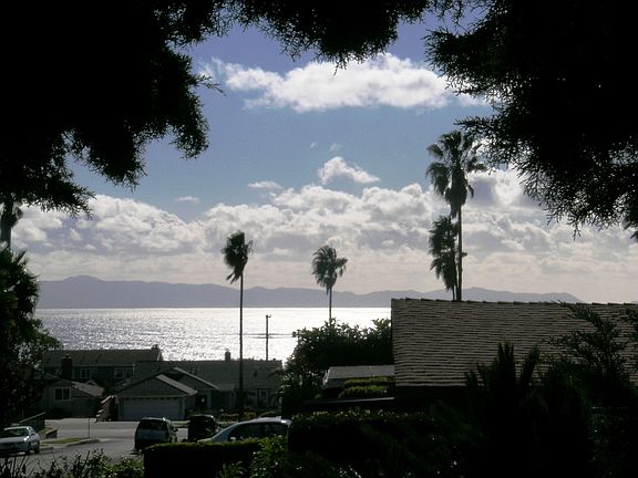 View from family room