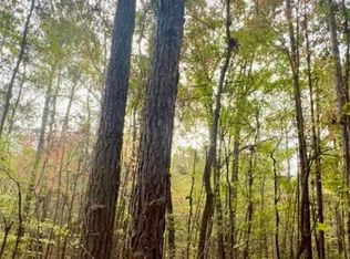 10684 Highway 22 E, Daviston, AL 36256