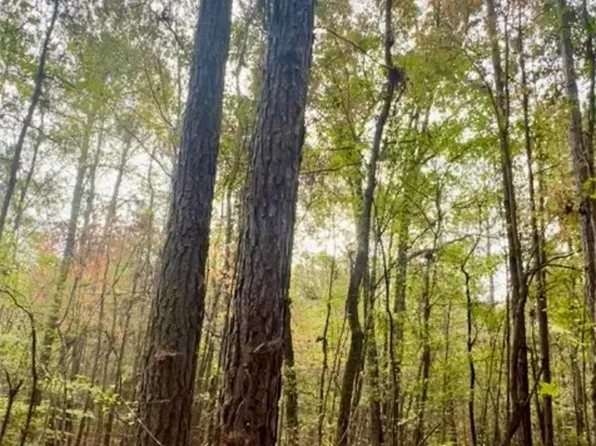 10684 Highway 22 E, Daviston, AL 36256