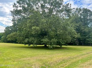 N Brooks Ave, Pelahatchie, MS 39145