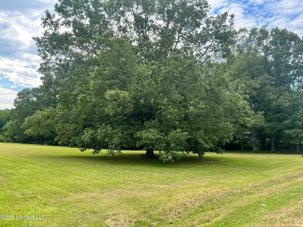 N Brooks Ave, Pelahatchie, MS 39145