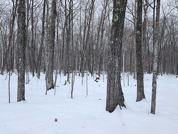 3rd image of 8108 Deer Ridge Ct