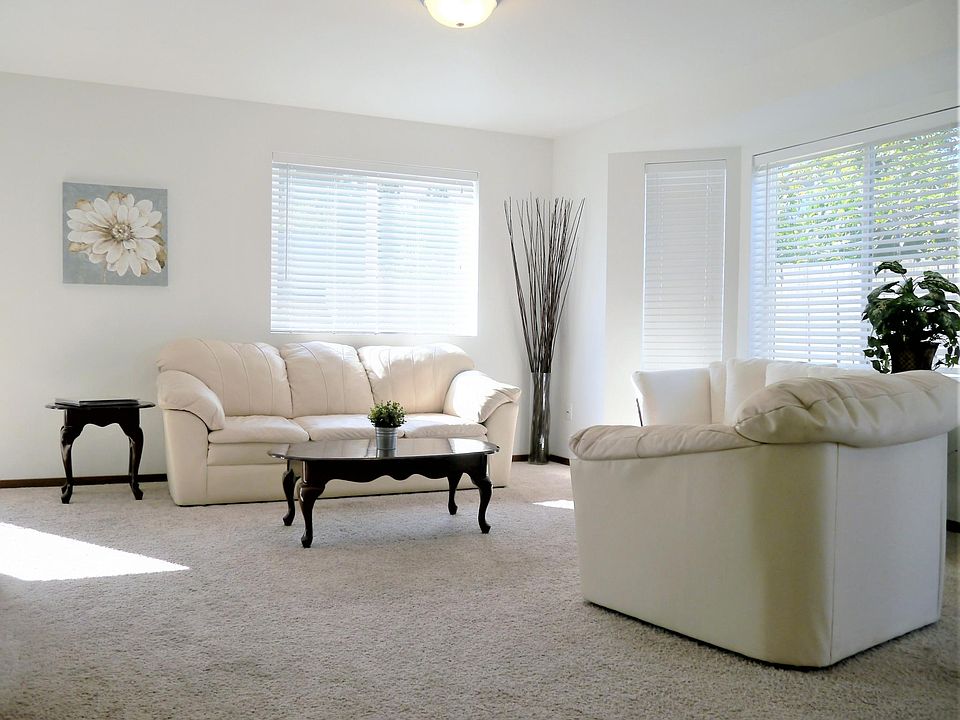 Spacious Living Room with Lots of Natural Light.