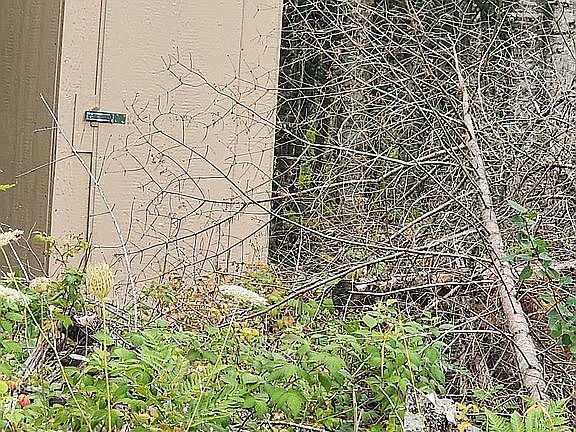 5th image of 0 N Price Rd