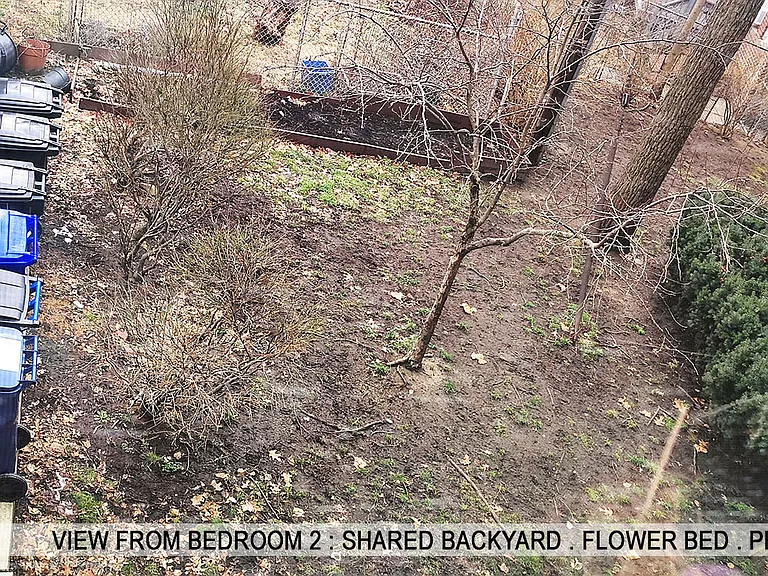 81 Westminster Ave #D — Photo 20